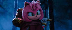 Amy meets Sonic