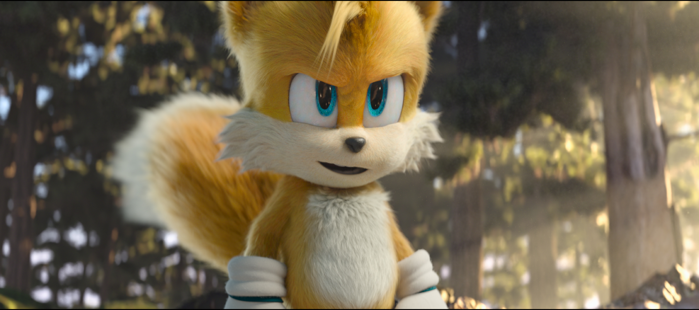 Is Tails a guy or a girl?