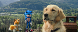 Tails calling Ozzie