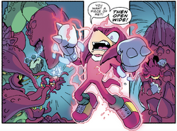 Knuckles vs. Beast