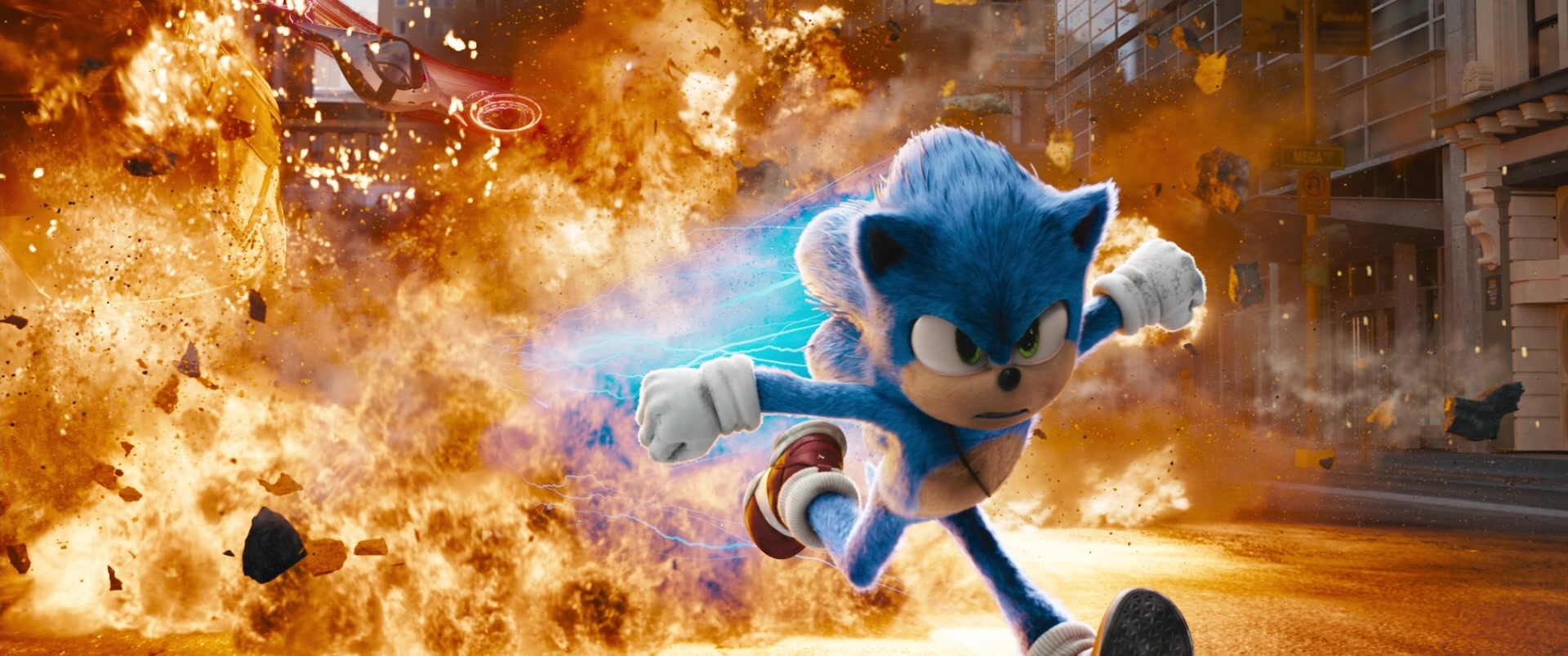 Why is Sonic being hunted?