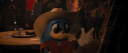 SonicHowdyPartner