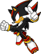 Shadow the Hedgehog | Sonic Needlemouse's Sonic Wiki Club Wikia | Fandom
