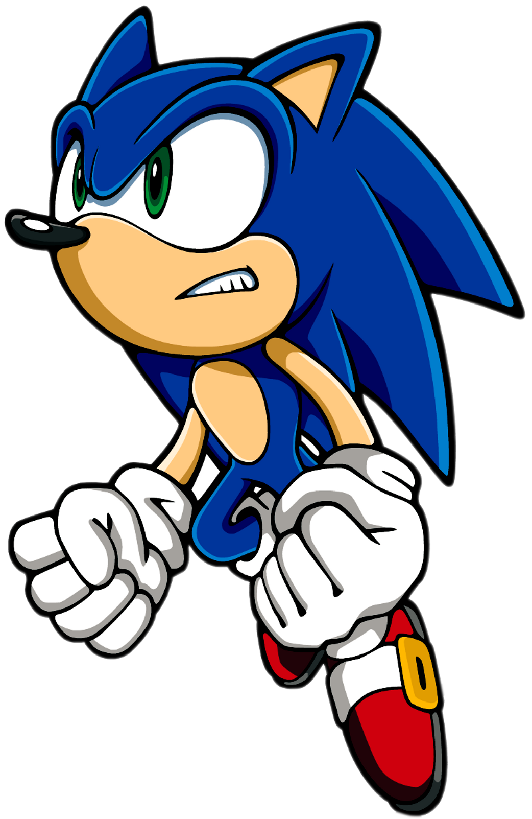 Sonic The Hedgehog, Wiki Sonic o ouriço fan