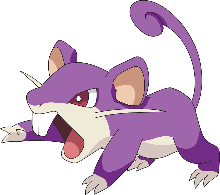 Rattata pokemon deals