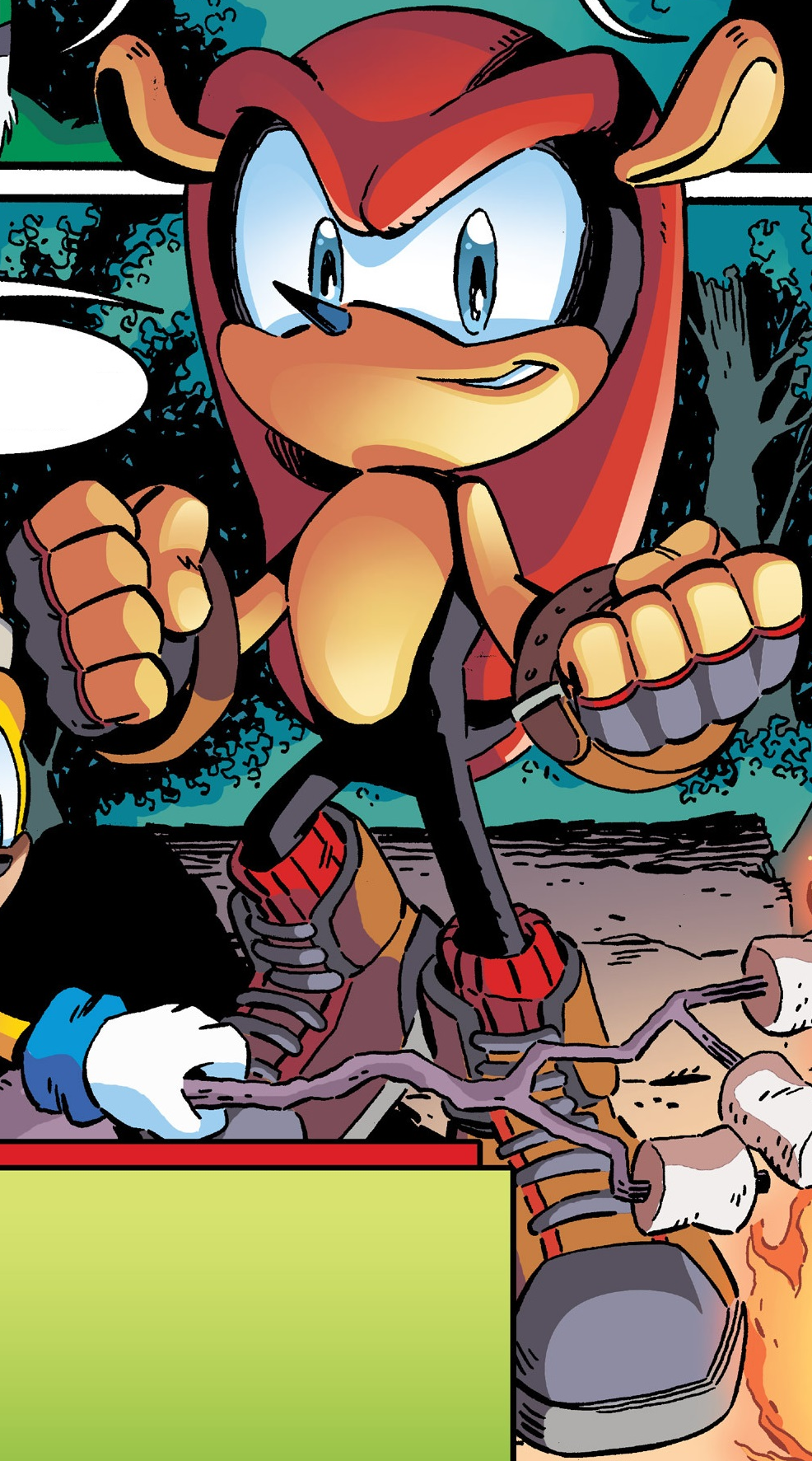 Mighty the Armadillo - Sonic the Hedgehog - Zerochan Anime Image Board