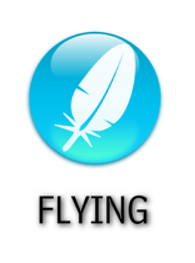 Flying Type Symbol by falke2009