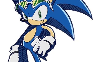 Amy Rose Sonic Riders Gravidade Zero Pink Rose | Sonic Wiki Zone