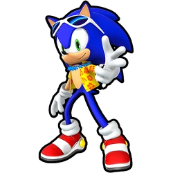 Summer Sonic | Sonic Speed Simulator Wiki | Fandom