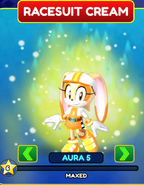 A look at a level 5 character's aura in the menu!