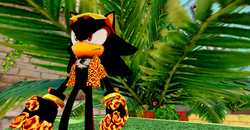 Cheetah Shadow, Sonic Speed Simulator Wiki