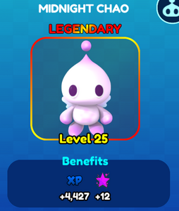 Midnight Stats Fused