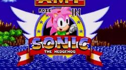 Sonic 3 and Amy Rose Walkthrough 