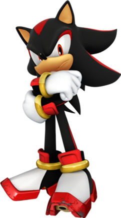 Shadow The Hedgehog 2 (Buttermations), Sonic Fanon Wiki