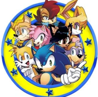 All the Sonic characters.  Freedom fighters, Sonic and shadow, Sonic heroes