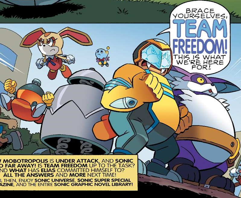 Team Freedom Fighters 2.0, Sonic Fanon Wiki