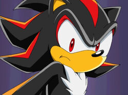 Shadow the Hedgehog/Gallery, Sonic X Wikia