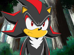 Me: Searches up Sonic x Shadow to find cool images of Shadow from Sonic X  *Goes to images* Me:, @shadow_savage