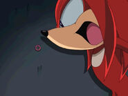 Tn 047knuckles