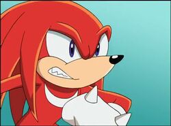 photo Sonic X Knuckles Screenshots knuckles the echidna gallery sonic x
