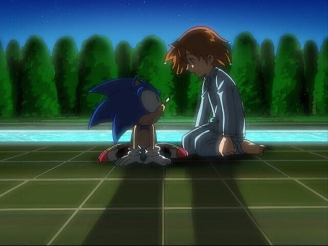 Sonic the Hedgehog, Sonic X Wikia