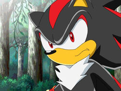 Shadow the Hedgehog (Sonic X) - Pictures 