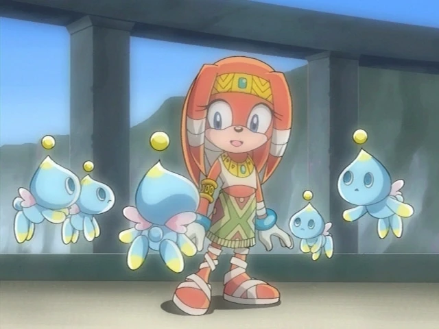 Chao (Sonic X) | Sonic X Wikia | Fandom