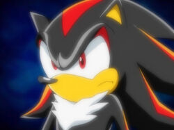 Shadow the Hedgehog/Gallery, Sonic X Wikia