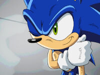 Sonic X, Sonic Wiki