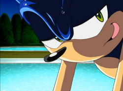 Sonic Obsessed Dork — (Sonic X: Episode 1 - Chaos Control Freaks)