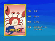 Krab