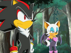 Shadow the Hedgehog/Gallery, Sonic X Wikia