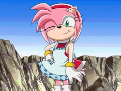 Watch Sonic X (English Dub) S1:E24 - How to Catch a Hedgehog