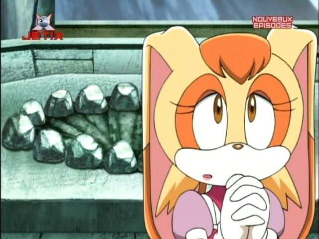 HeartsBunny: Sonic X Episode 1