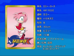 Amy Rose screenshots, images and pictures - Giant Bomb