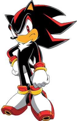Shadow the Hedgehog in a Sonic X pose