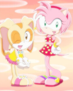 Amy Rose, Sonic X Wikia