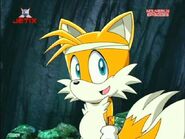 Tails100