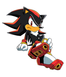 Shadow the Hedgehog in a Sonic X pose