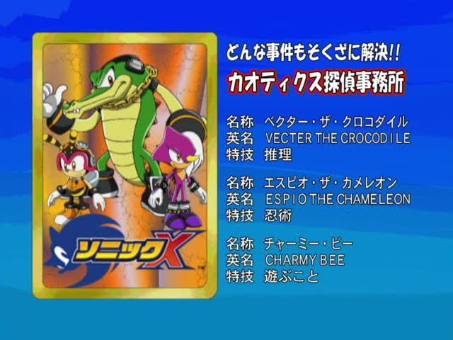  Information about Knuckles Chaotix and the Sonic X  cartoon