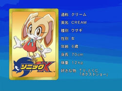 OFFICIAL] SONIC X Ep46 - A Wild Win 