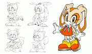 Cream-the-Rabbit-Character-Sketches