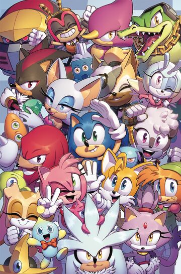 Cover RI of IDW Sonic #12 by Nathalie Fourdraine! : r/SonicTheHedgehog