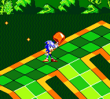 Sonic with a Chaos Emerald in Sonic Labyrinth