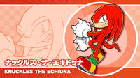 Knuckles the Echidna