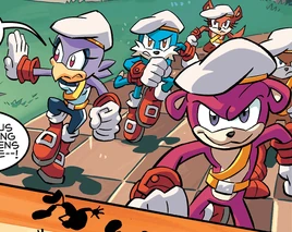 Honor Guard Post-SGW