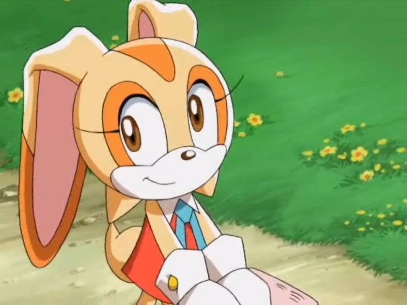 HeartsBunny: Sonic X Episode 1