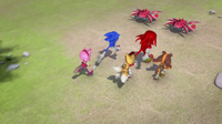 Team sonic runs