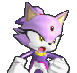Blaze the Cat