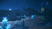 The island's landscape at nightfall